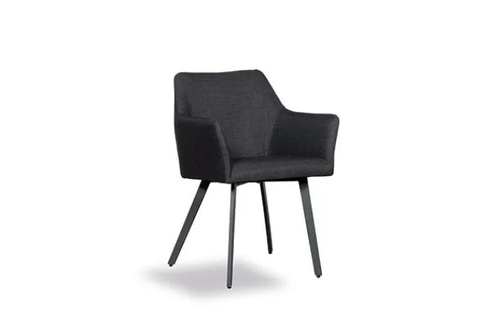 Best Paco World Collections Dining Chair Carlton
