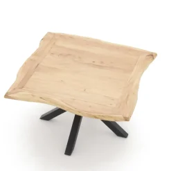Paco World Collections New Delhi Eettafel