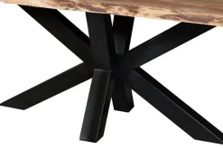 Hot Paco World Collections Santos Boomstamtafel